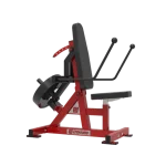 Dynamic Tricep Kick Back